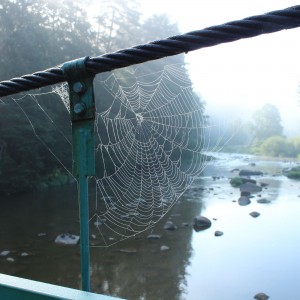 Stvořidla,dovča 2019 (86)